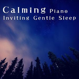 Soft Strokes to Slumber