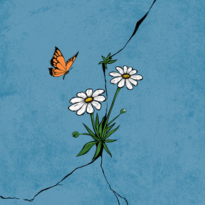 Menghapus Garis Lama