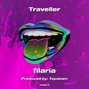 Traveller