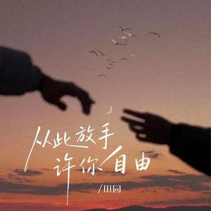 从此放手许你自由
