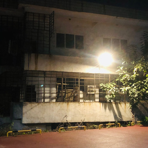 种子 .prod.by morrow