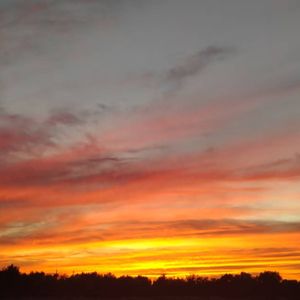 揪心的玩笑与漫长的白日梦