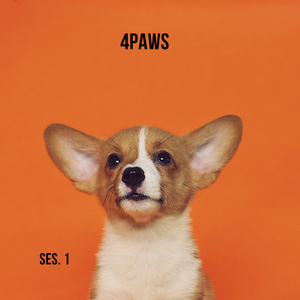 Sleeping Music for Dogs and Cats Pt. 8