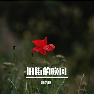 旧街的晚风