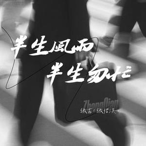 半生风雨半生匆忙