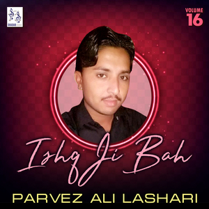 Koiley Ji Kaam Main Heero