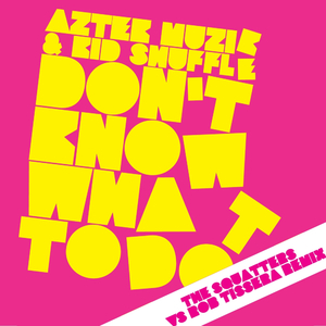 Don't Know What To Do (The Squatters & Rob Tissera Remix)