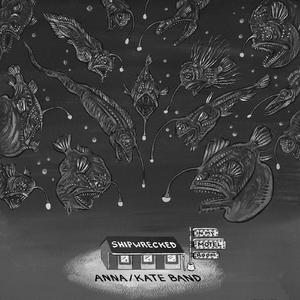 Shipwrecked (In My Motel Room)