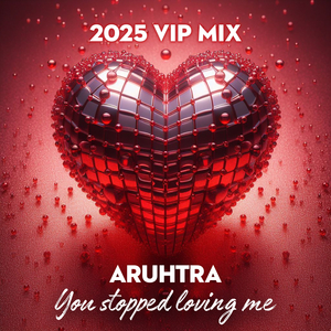 You Stopped Loving Me (2025 VIP Mix)