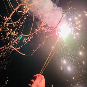 鲜花（翻唱回春丹）