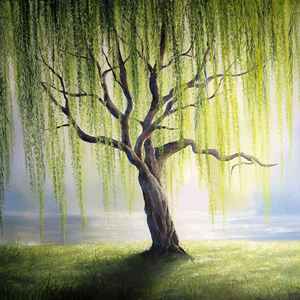 Willow Tree