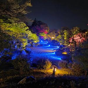 思い出の日々(World Peace Song)