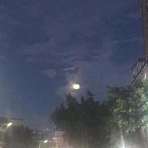 Goodnight moon