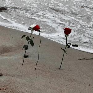 关于我在地铁上莫名其妙干了碗鸡汤这件事儿