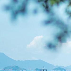 早已习惯了流浪