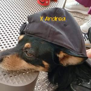 X Andrea (Ipoteticamente)