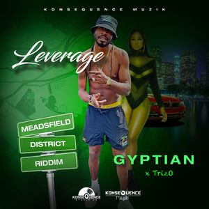 Leverage