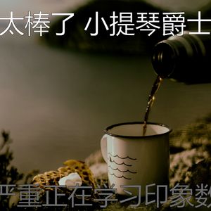 温和焦点梦想