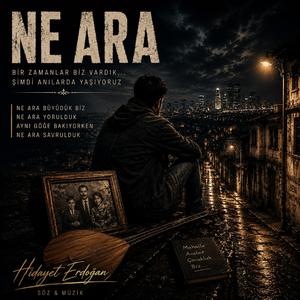 Ne Ara