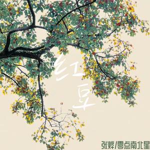 红豆