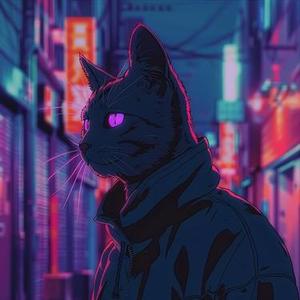 夜晚城市的孤独与繁华