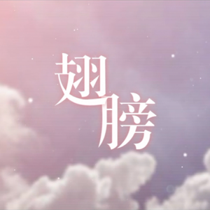 翅膀（翻自 林俊杰）