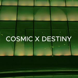 COSMIC X DESTINY
