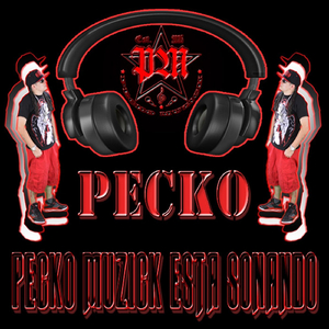 Esta Sonando