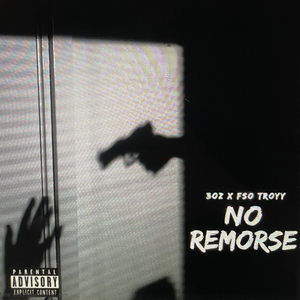 No Remorse (feat. Fso Troyy)