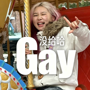 北极光与沙漠的风