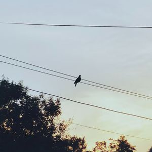 沉浸在回忆里发酵