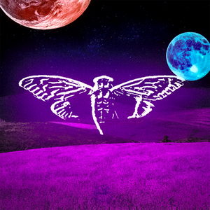 Interconnectedness 3301