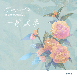小流星