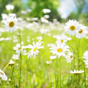 一尘不染1小时水疗印象数