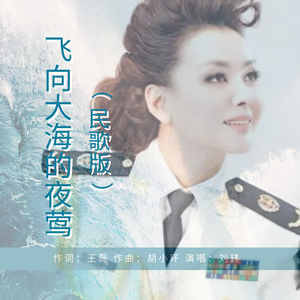 飞向大海的夜莺 (民歌版伴奏)