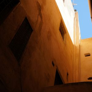 自由浪漫处的无畏之爱