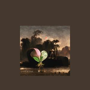 Musical Apricot Hawk