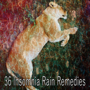 暴風雨前的平靜