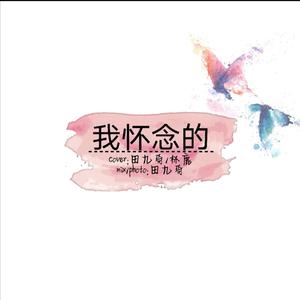 我怀念的