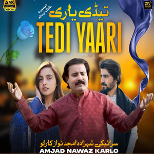 TEDI YAARI