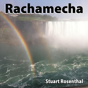 Rachamecha