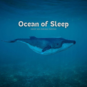 深海催眠鲸鱼声