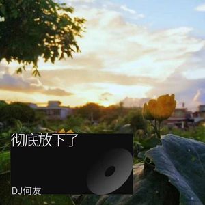 AZ珍珍 - 彻底放下了 (DJ何友版)