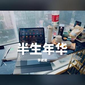 半生年华
