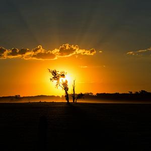 머나먼 그 길 위에 (On That Distant Road)