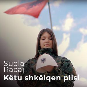 Këtu shkëlqen plisi