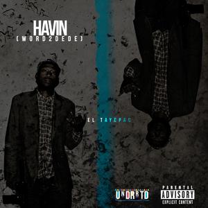 Havin' (Word 2 De DE)