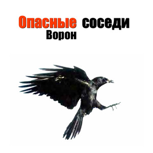 Звёзды (Формула русского рока 2004)