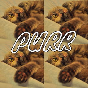 Purr