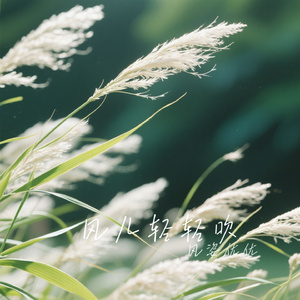 风儿轻轻吹